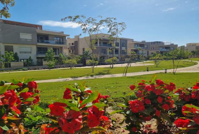 8062928 - Property Image 3