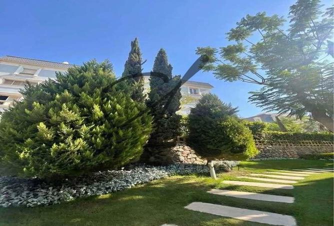 7967402 - صورة العقار 3