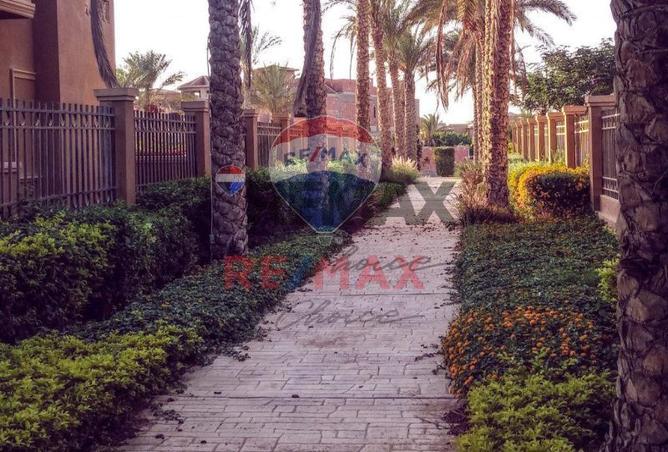 7953999 - Property Image 3