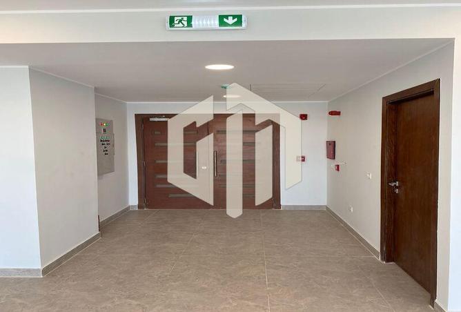 7987859 - Property Image 3