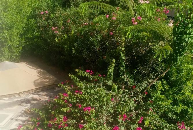 7906301 - الصورة الرئيسية للعقار