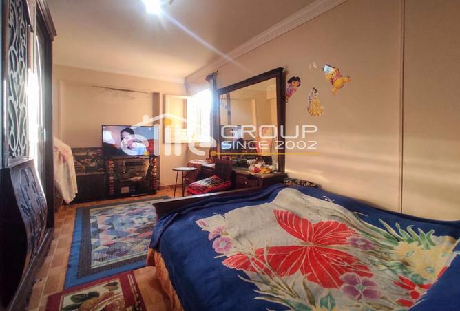 8483318 - Property Image 3