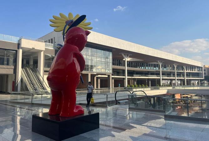 8436481 - Property Image 2