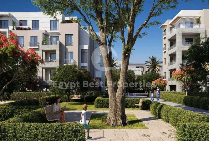 8496134 - Property Image 3