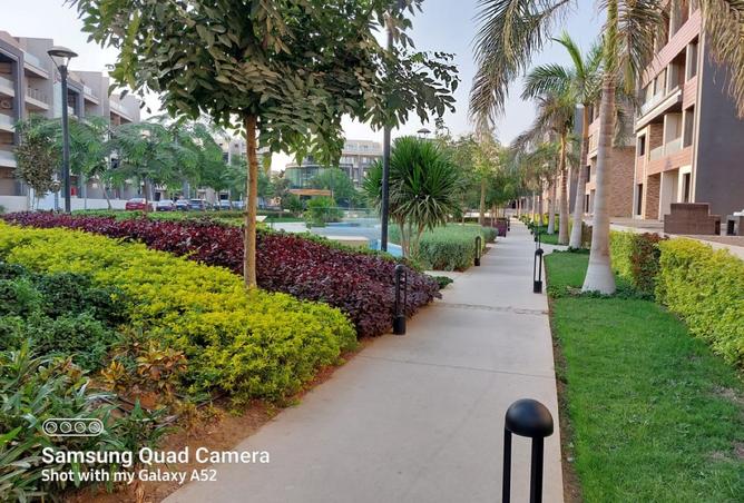 7952019 - صورة العقار 2
