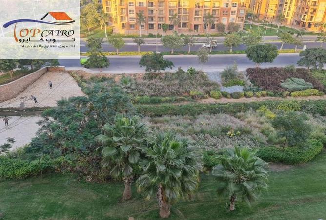 8448068 - صورة العقار 3