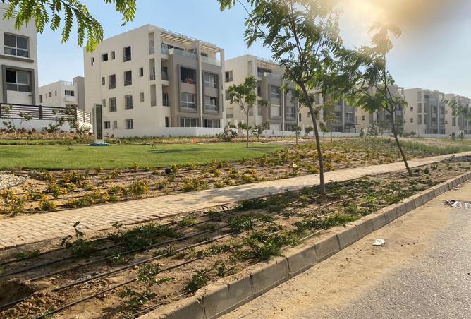 8376122 - صورة العقار 2