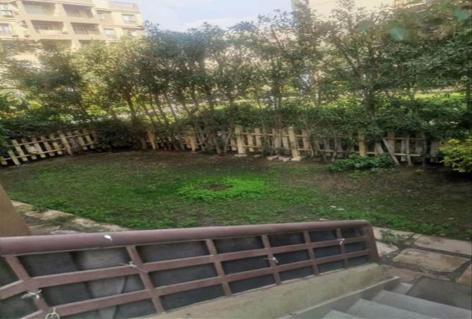 7977602 - الصورة الرئيسية للعقار