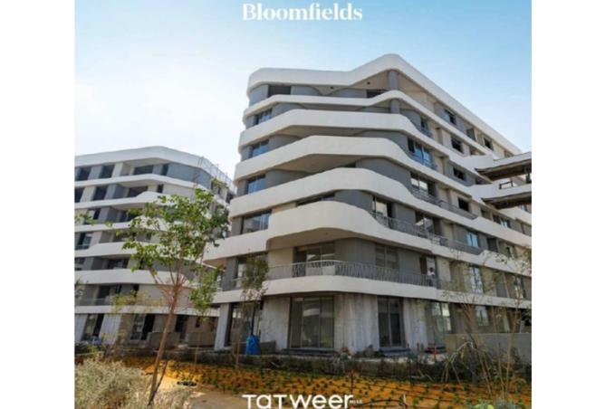 8249838 - Property Image 3