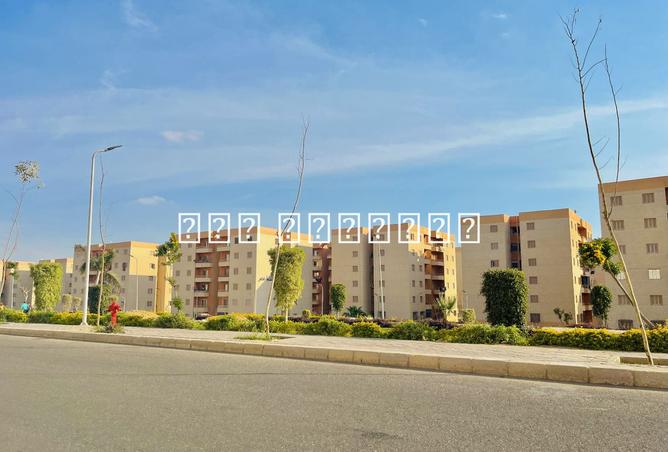 8181694 - صورة العقار 3