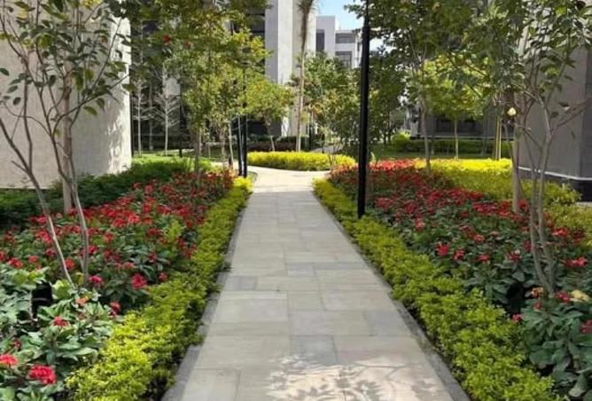 8205793 - Property Image 2