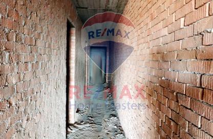 Apartment - 3 Bedrooms - 2 Bathrooms for sale in Toreel Area - Al Mansoura - Al Daqahlya