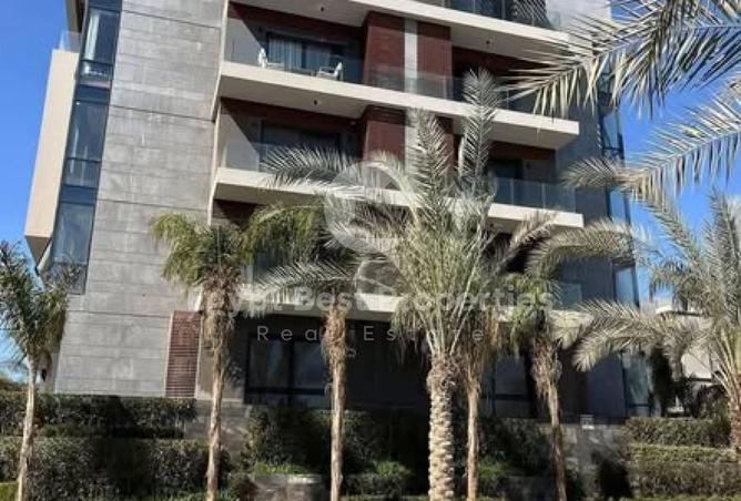 8153100 - Property Image 3