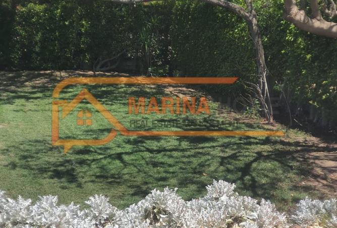 7956564 - الصورة الرئيسية للعقار