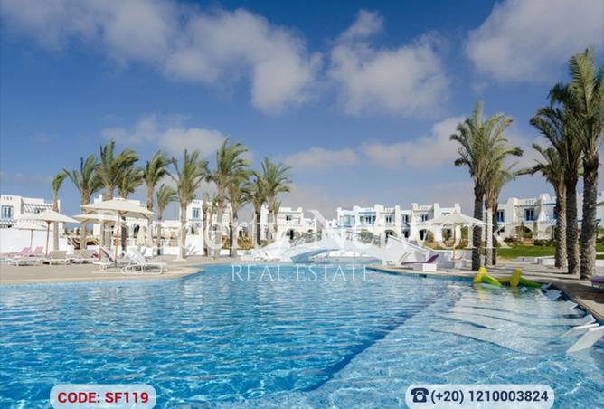 7900758 - صورة العقار 3