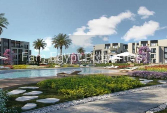 8423493 - Property Image 3