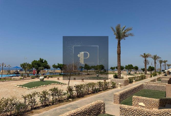 8197187 - Property Image 2