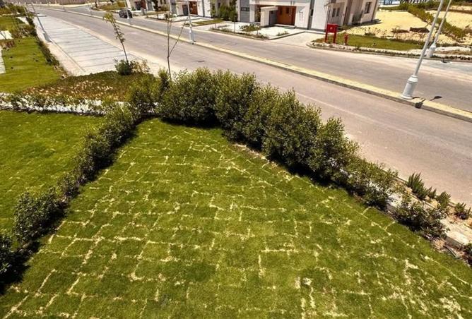 8217217 - صورة العقار 2