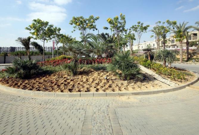 8435322 - Property Image 3