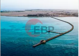 Chalet - 1 Bedroom - 1 Bathroom for sale in Mesca - Soma Bay - Safaga - Hurghada - Red Sea