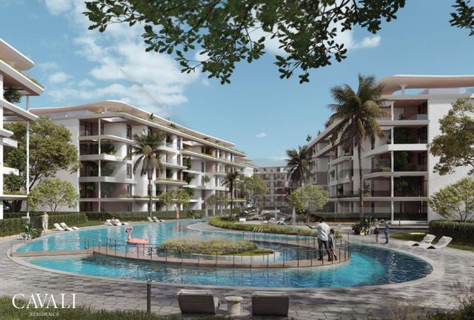 8115066 - Property Image 2