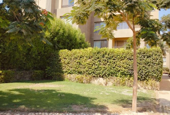 8278654 - صورة العقار 3