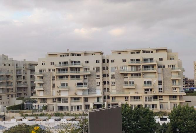 8545919 - Property Image 3