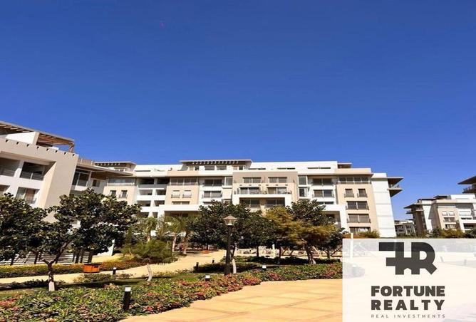 8489794 - Property Image 3