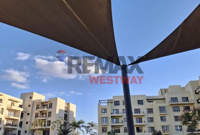 8420253 - Property Image 3