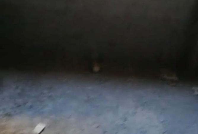 8413241 - صورة العقار 2