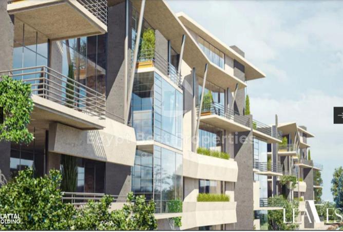 8030658 - Property Image 3