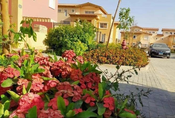 7923335 - صورة العقار 2