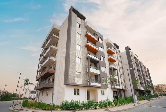 7991877 - Property Image 2