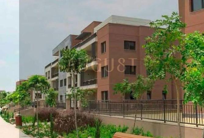 8411931 - Property Image 3