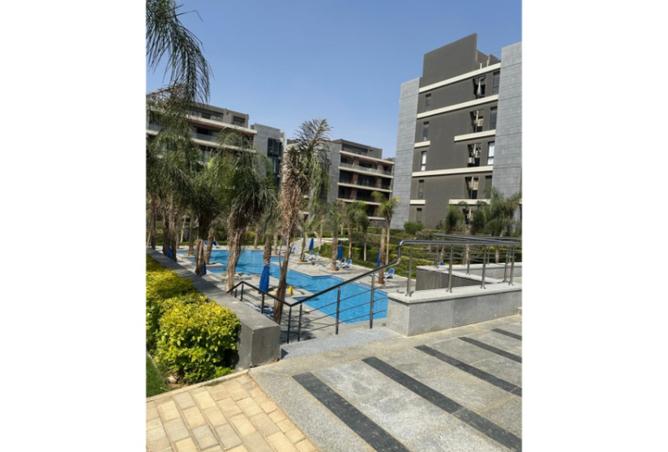 8228872 - Property Image 3