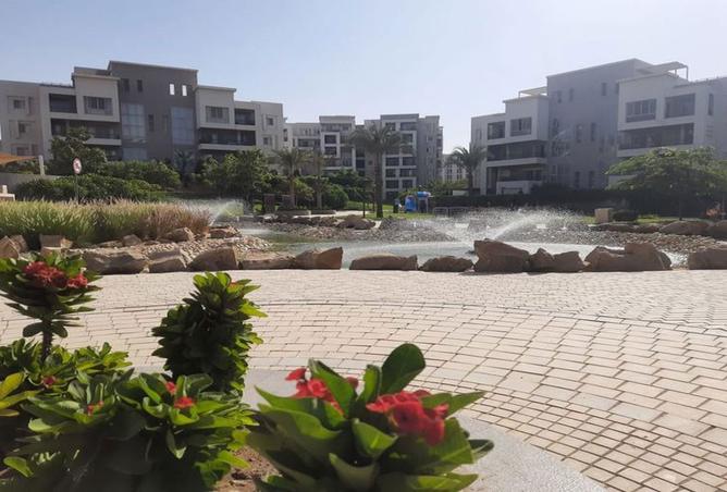 8557873 - صورة العقار 3