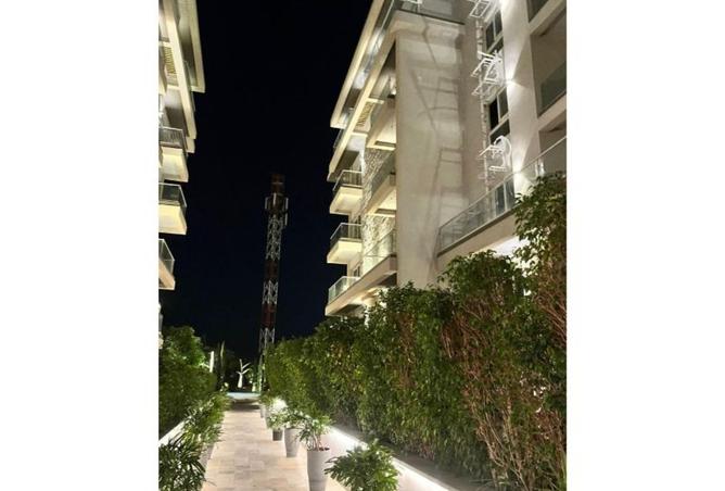 8171774 - Property Image 3