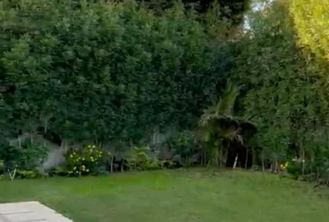 8495526 - صورة العقار 2