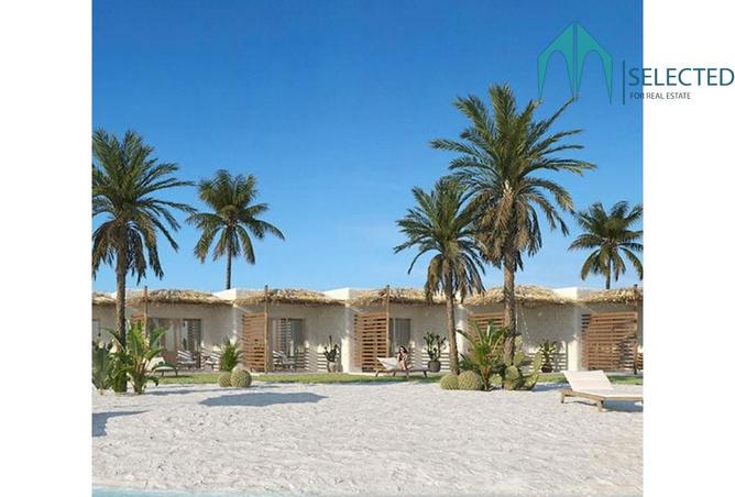 8359533 - Property Image 3