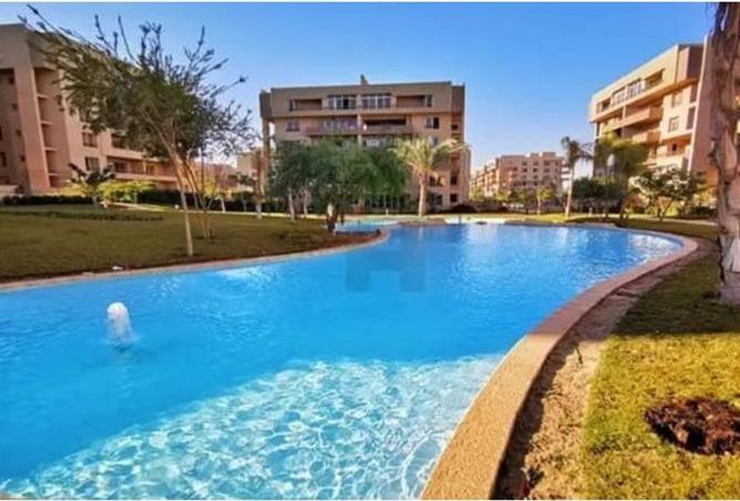 8467181 - Property Image 3