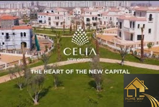 8071480 - Property Image 3
