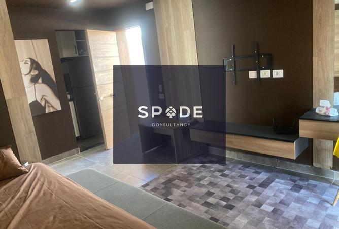 8185471 - Property Image 2