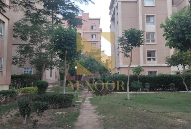 7910399 - صورة العقار 2