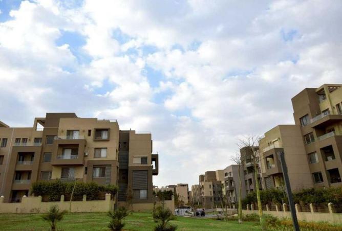 8423523 - صورة العقار 3