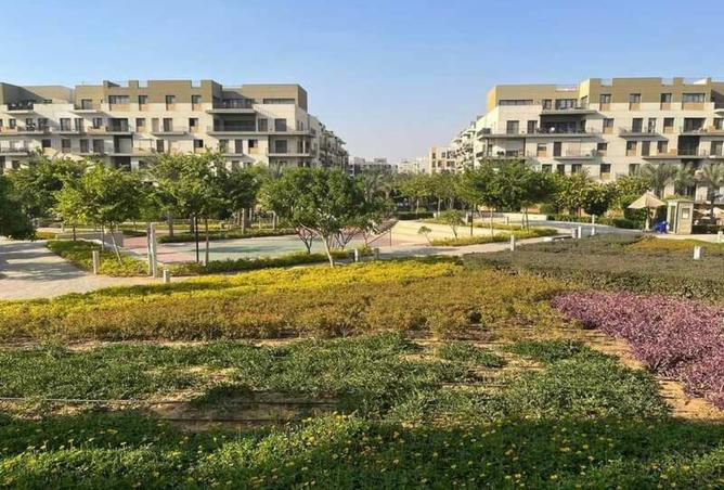 8319777 - Property Image 2