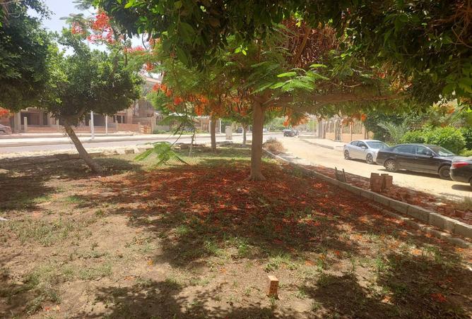 8145078 - صورة العقار 2