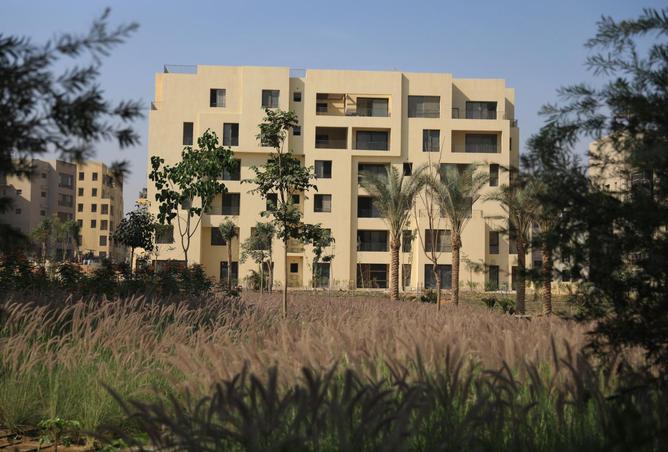 8422561 - صورة العقار 3