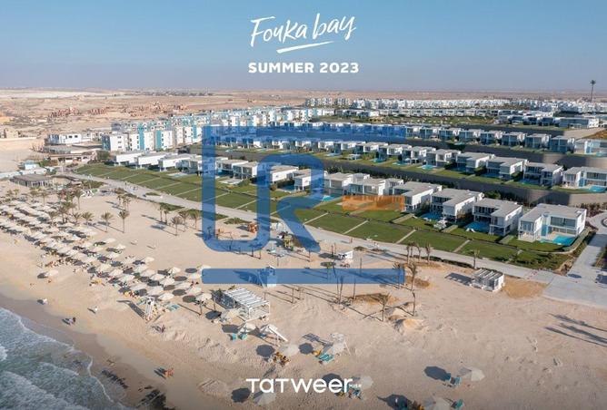 8003595 - صورة العقار 3