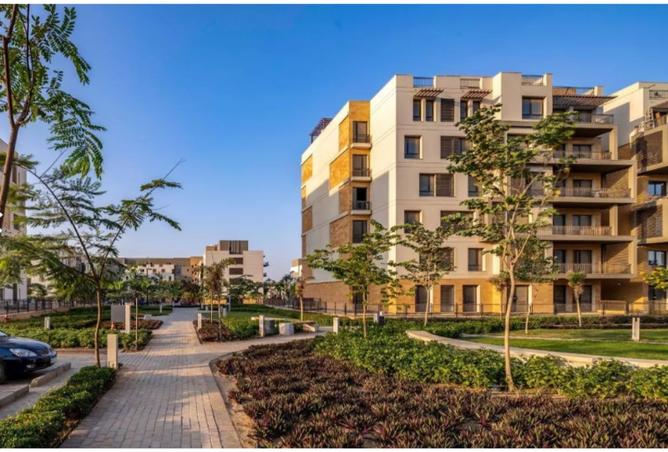 7990118 - Property Image 3