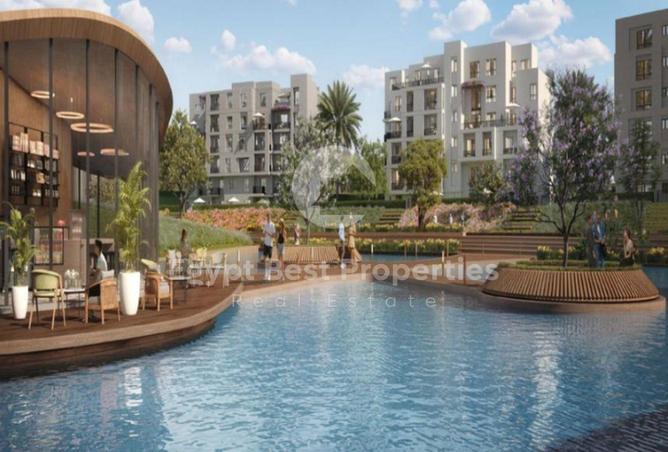 8196272 - Property Image 3